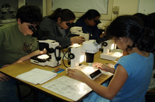 kids using microscopes on MERITO field trip